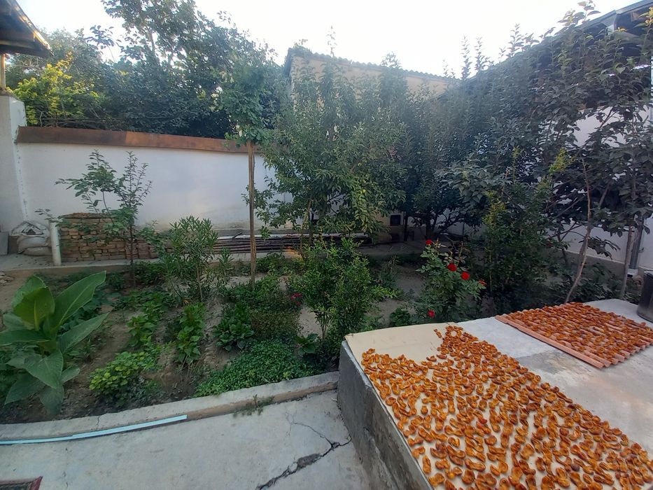 Qopol jinsiy aloqa video