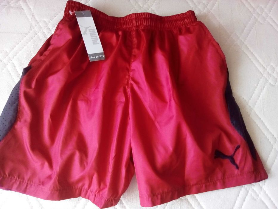 Мъжки къси гащи /бански/- Puma- графит, сини и червени