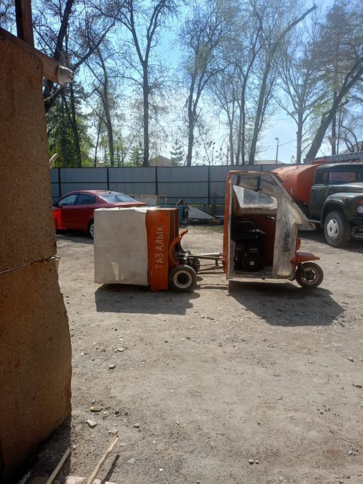 Муравей  в хорошем состоянии