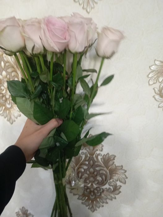 Белые розы длиные