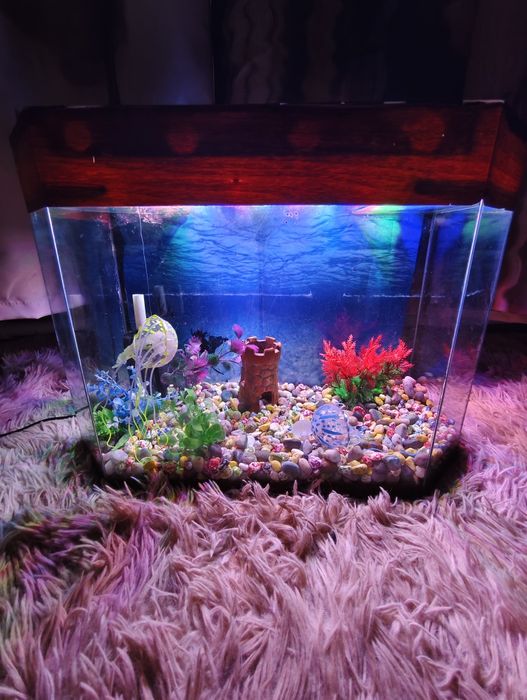 Аквариум 25 литров