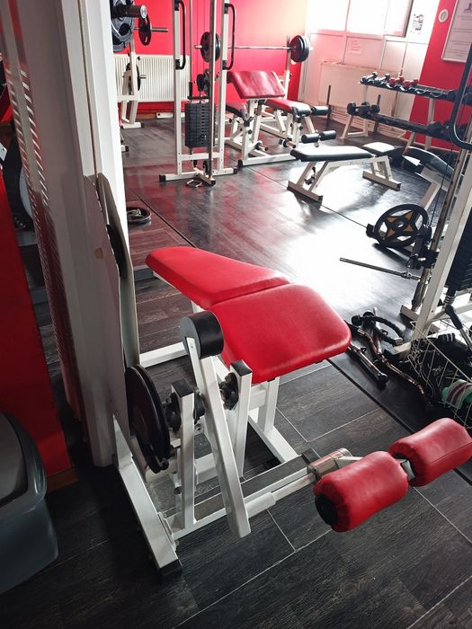 Aparat flexii biceps femural