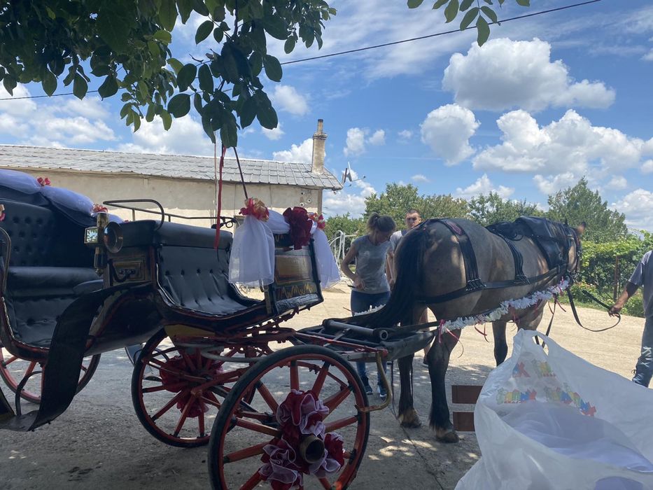 Файтон в отлично състояние