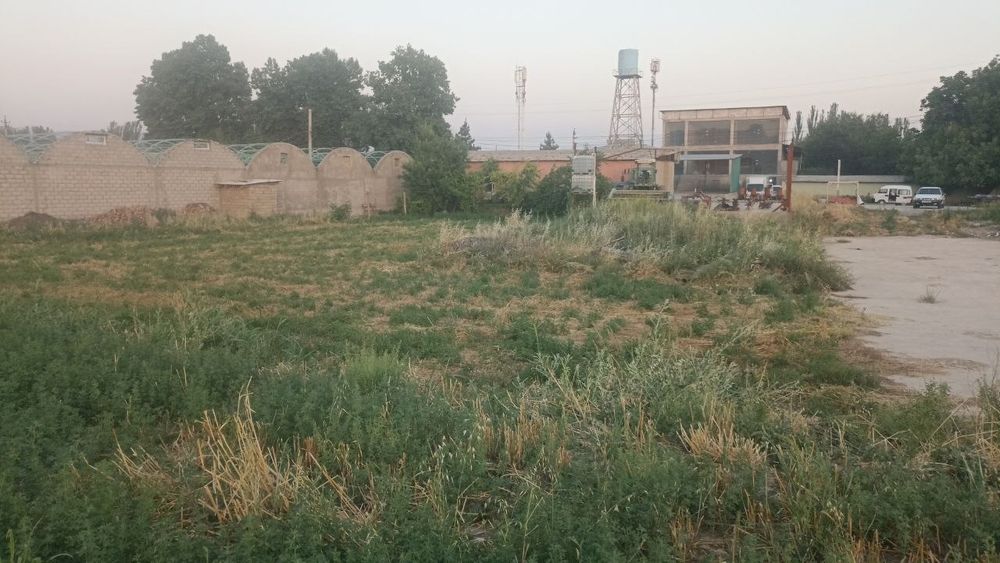 Qashqadaryo viloyati kitob tumanida yer uchastkasi binosi b/n sotiladi