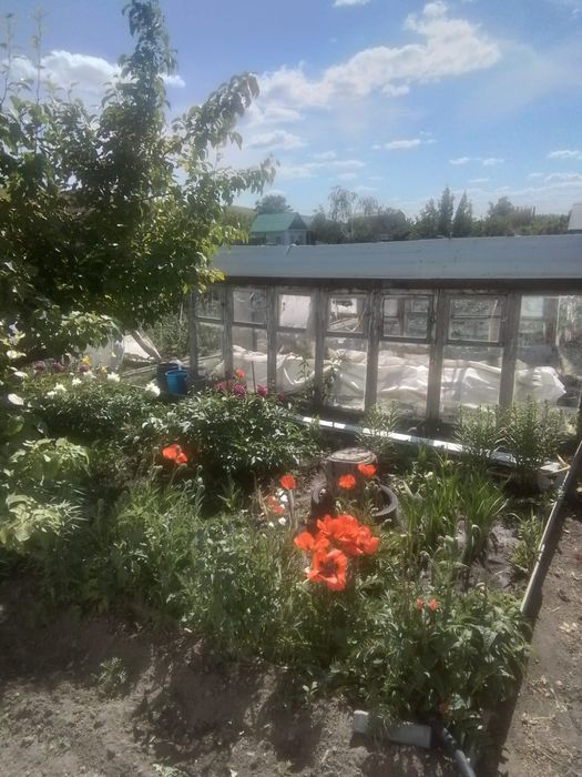 Продам дачу в обществе Металист