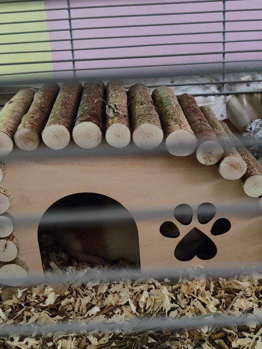 Продам домики для грызунов