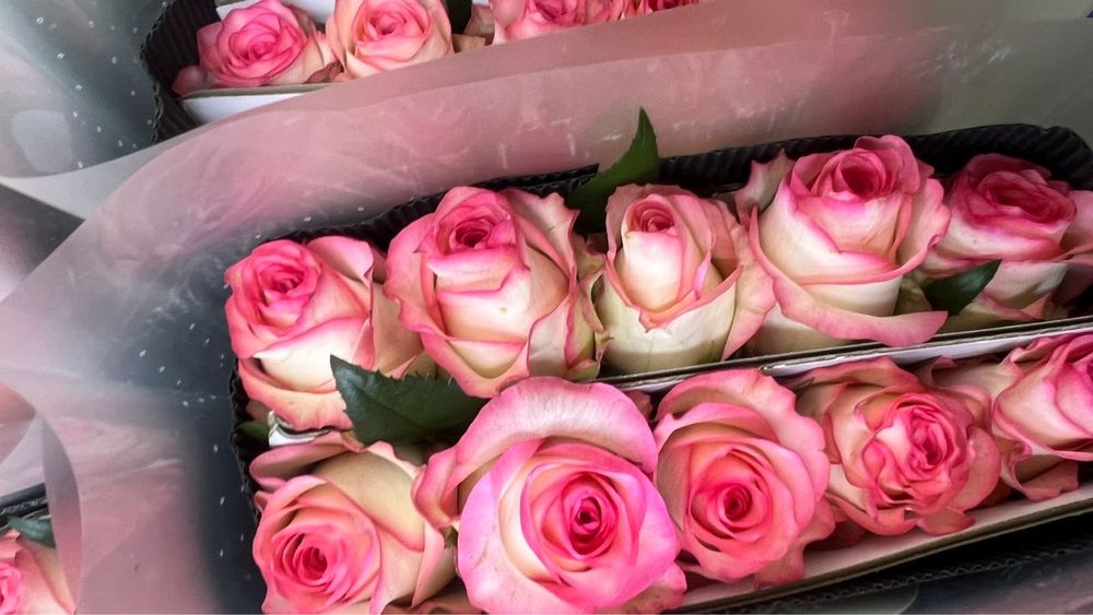 Розы оптом китай