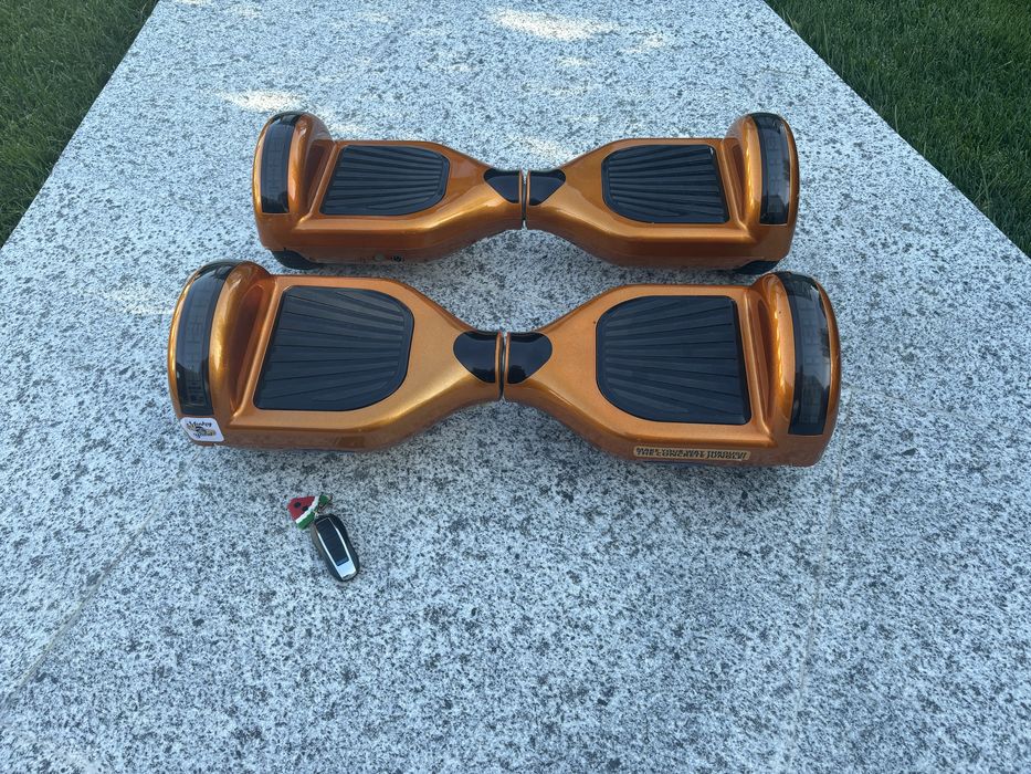 Hoverboard Monkey