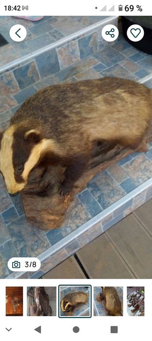 Vând taximetrie,jder,castor,fazan, acvila