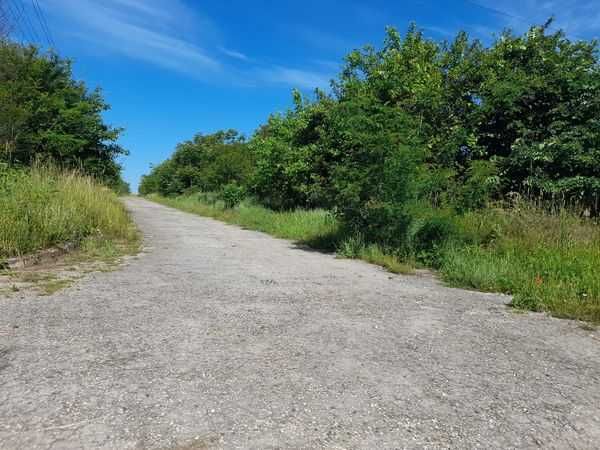 Продава се Парцел в с. Згалево, Област Плевен - 1200 кв.м за 14 €/кв.м - Снимка #1