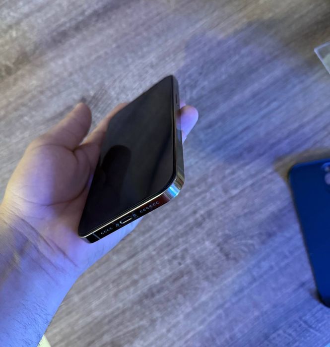 iphone 12 pro max