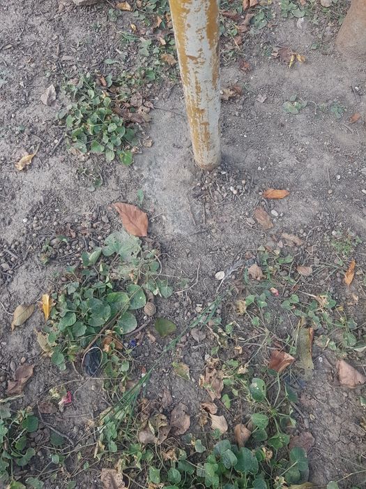 Vand balansoar de fier vechi și foarte solid 1200