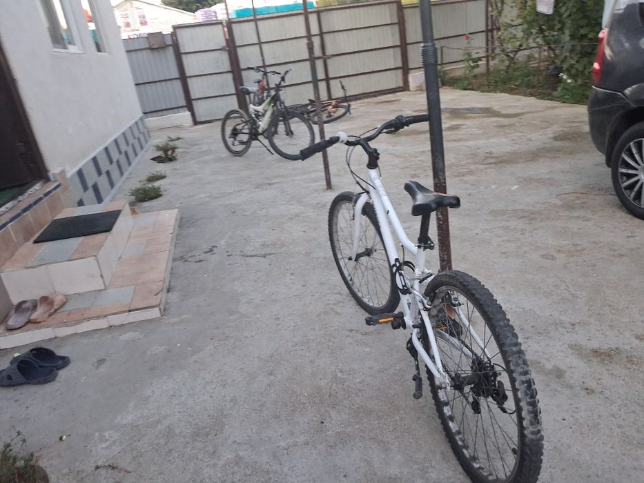 Bicicleta raivaloso