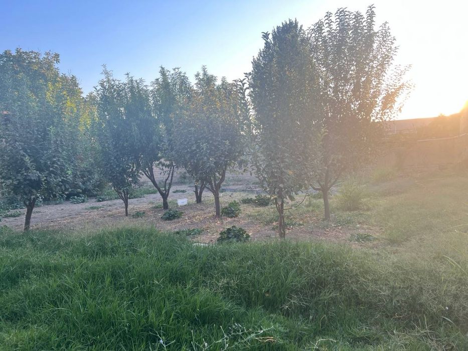 SROCHNO!!! Narxi kelishamiz Qibray,Baytqorgonda Yer, uchastka sotiladi