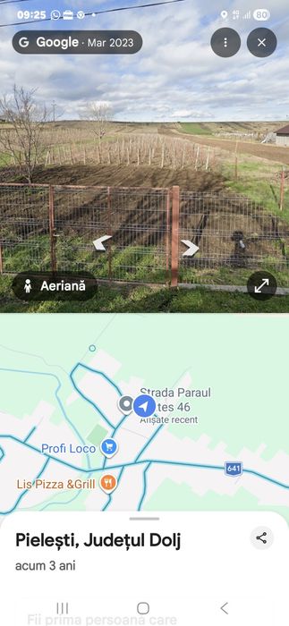 861 mp, Pielesti