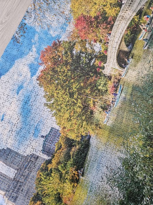 Tablou Puzzle Central Park New York 1500 piese asamblat