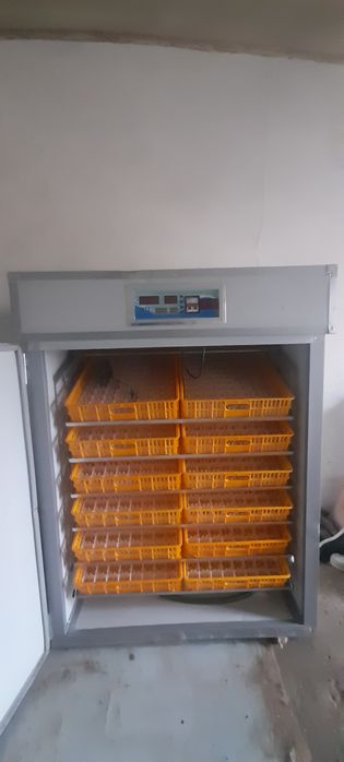 Yangi Inkubator sotiladi 1056 ta tovuq tuxumi ketadi