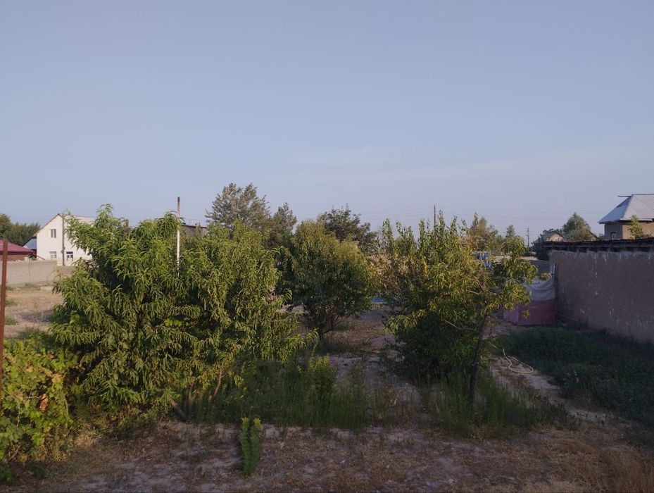 Dalahovli dacha koʻchmas mulk