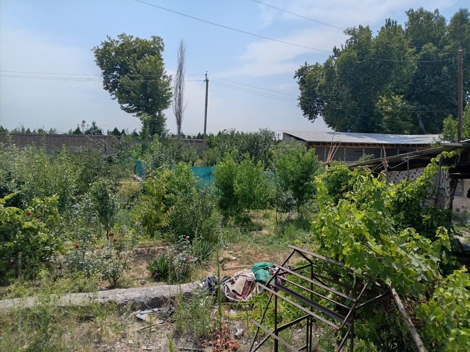 Срочна уй сотилади сув бойида