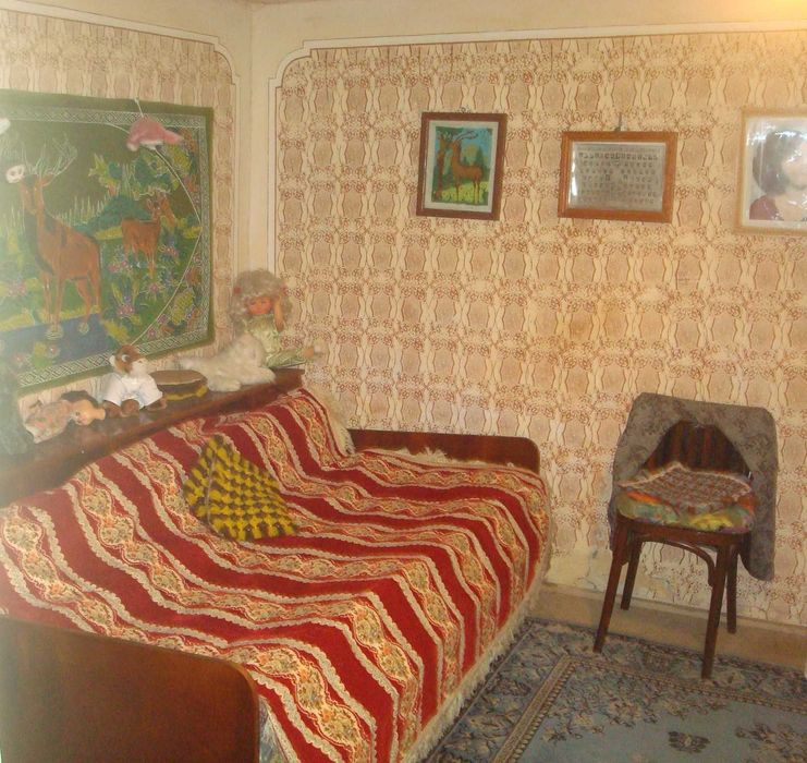 Gospodărie de închiriat la țară, comuna Huruiești, județul Bacău