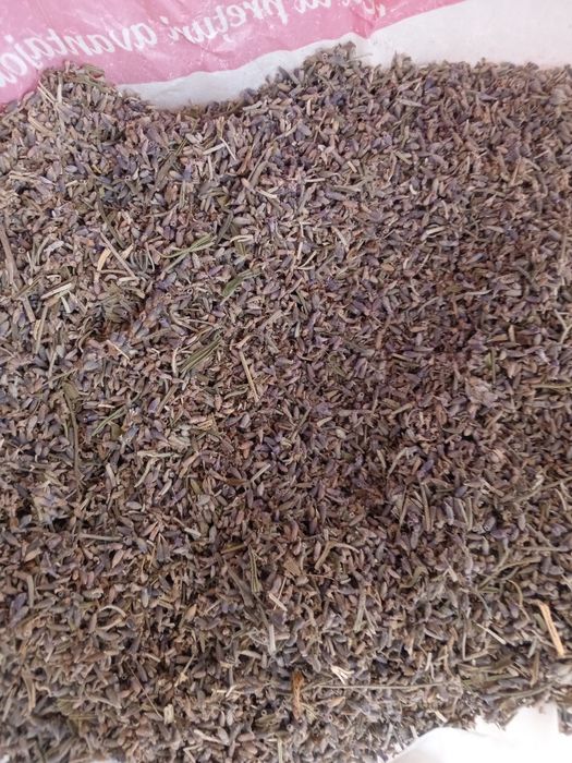 Floare de lavanda uscata w