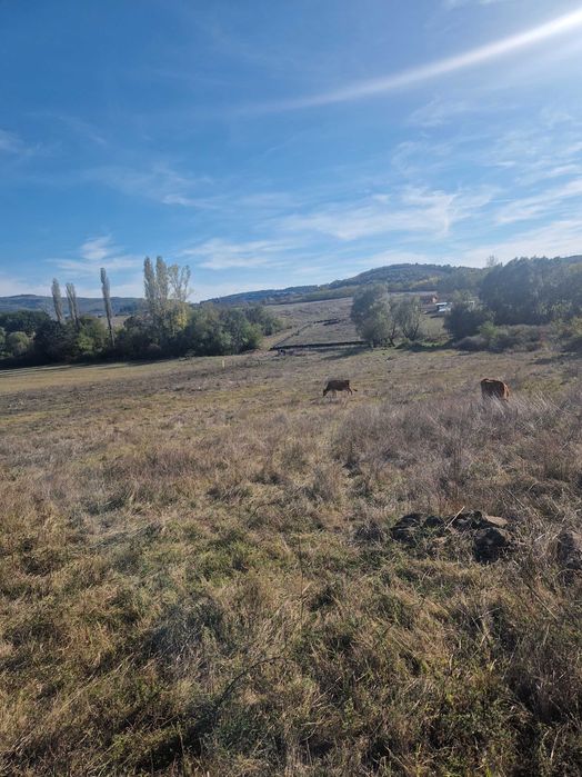 Продава се Земеделски имот в с. Глухар, Област Кърджали -  кв.м за 3400 €/дка - Снимка #1