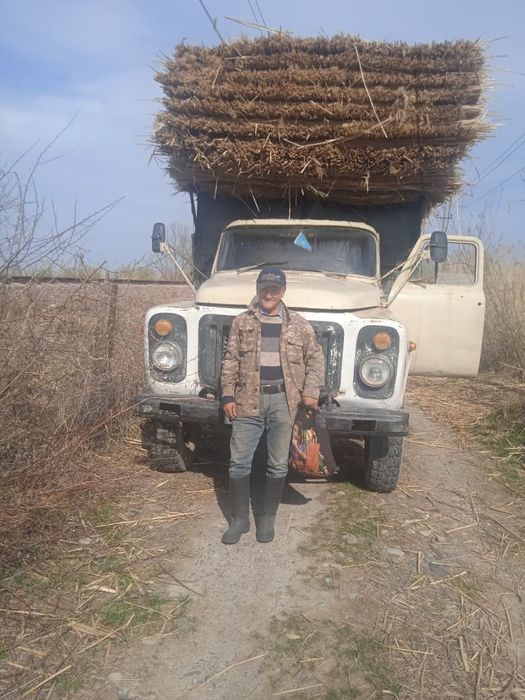 қамыс сатылады,,