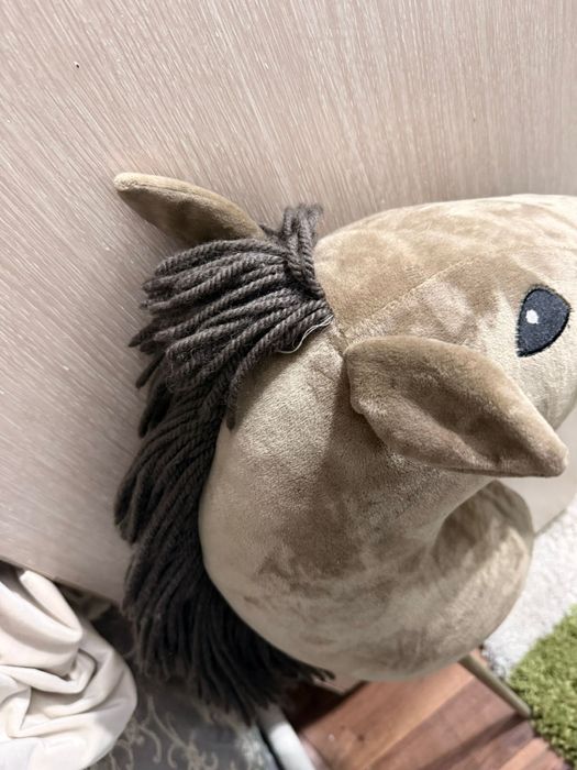 Хоббихорс, лошадь еа палке