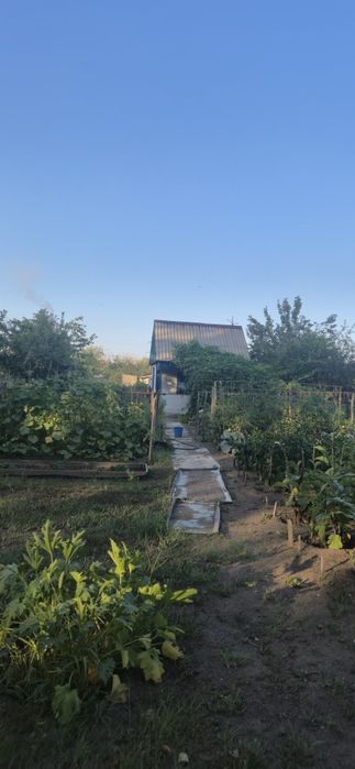 Продам дачу в садоводстве "Металлург"