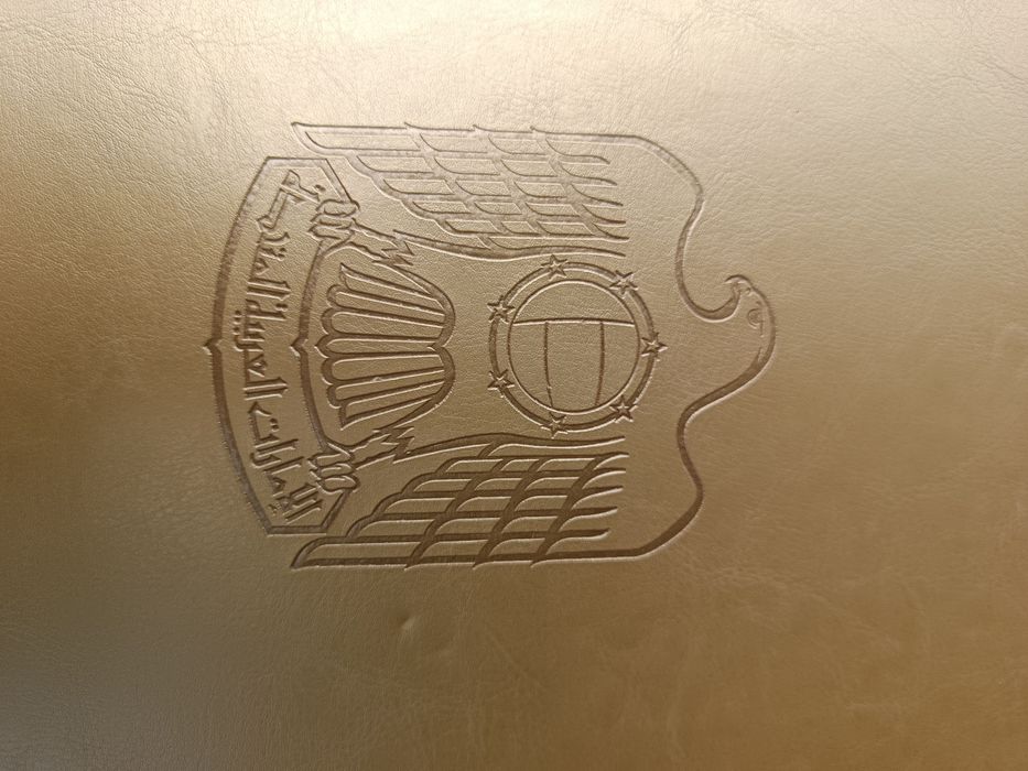 Голяма кутия кожа