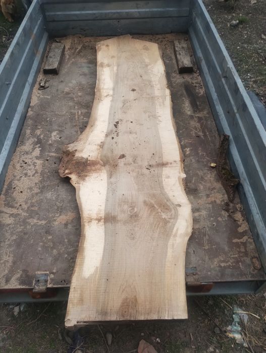 Vând blaturi de nuc.