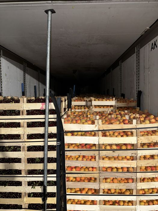 Vand Caise si Visine , Piersica ,Nectarina, Prune