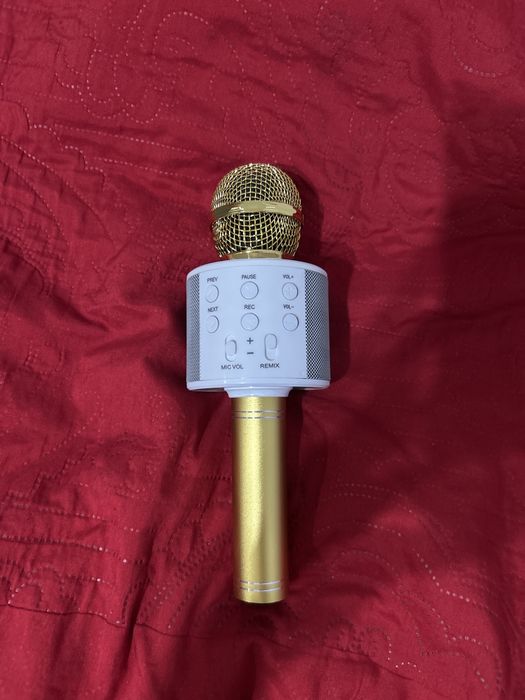 Микрофон с колонкой