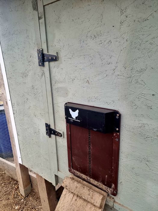 Vand usa automata pentru cotet/tarc de gaini