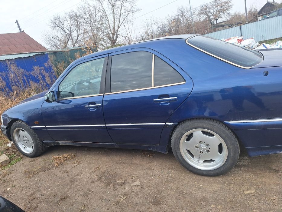 R16 amg черепахи