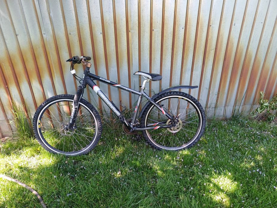 Bicicleta Bulls disc