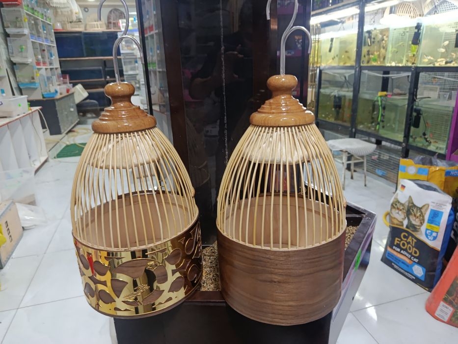 Италия бедона учун махсус капас