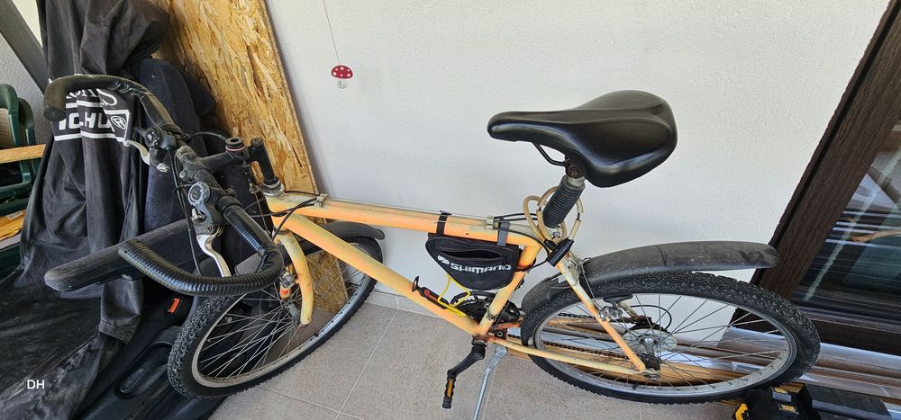 Bicicleta Mountain bike