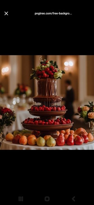 Шоколадний фонтан Shokolad favvorasi