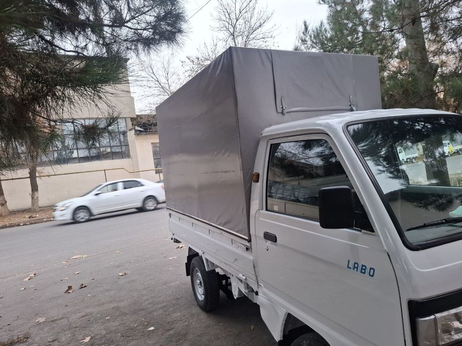 Labo bort tentli sotiladi