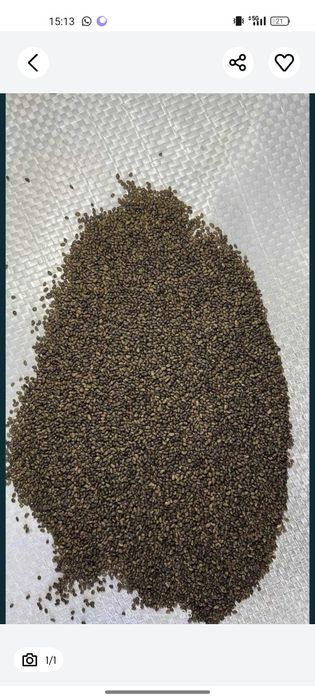 Суданка житняк эспарцет люцерна доник арпа бидай