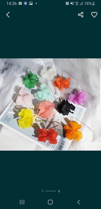 alb flori albi superbi