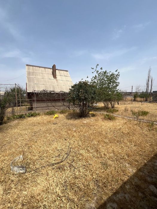 Dachshund prodayotsa