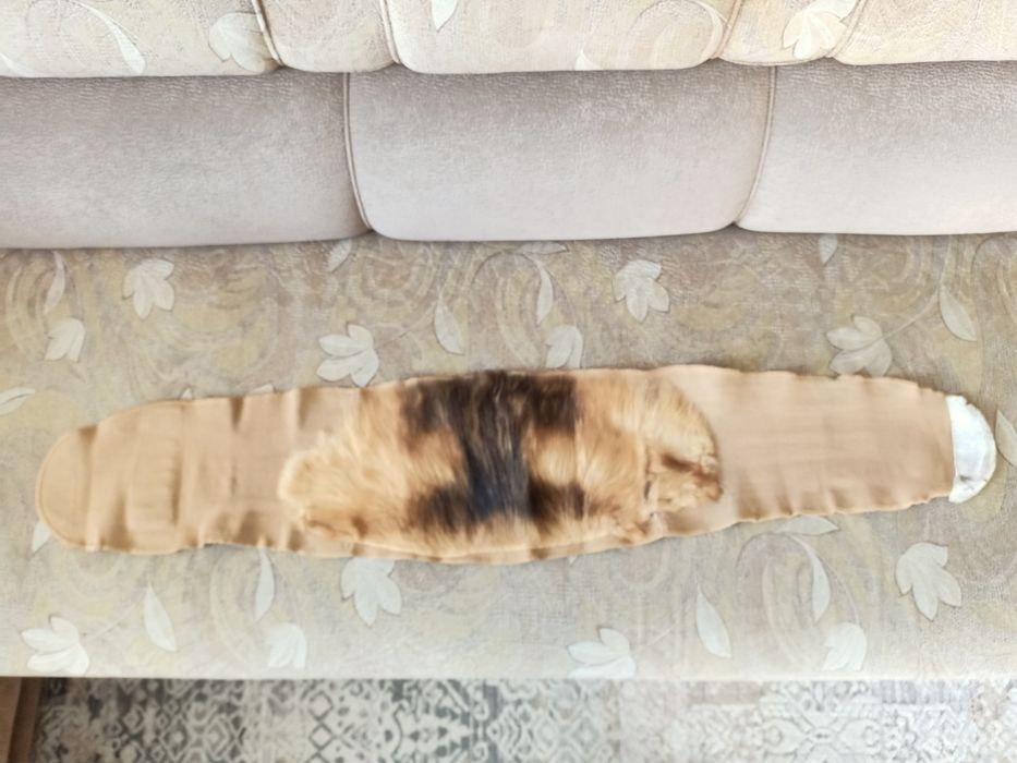 Собачий пояс , для прогрева суставов