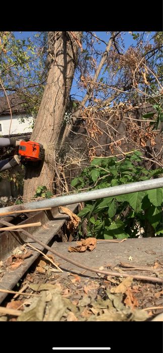 Покос травы спил деревьев