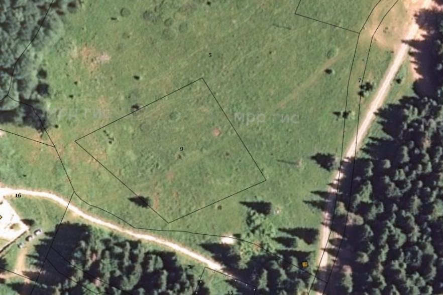 Продава се Парцел в Берковица - 8150 кв.м за 94 €/кв.м - Снимка #4