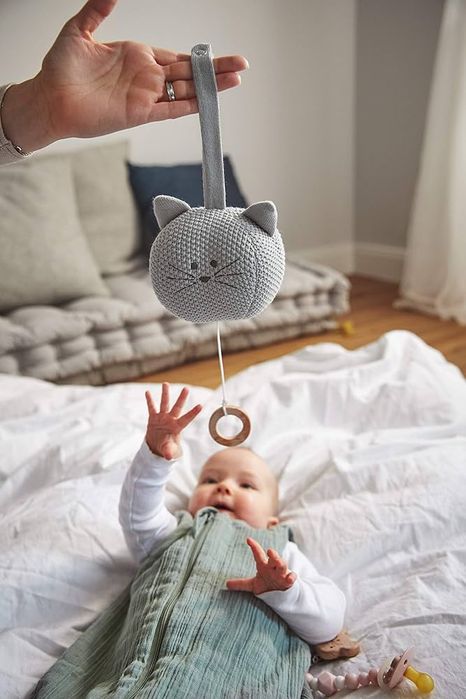 Музикална играчка lassig