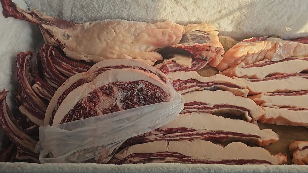 Продам согым сирактап