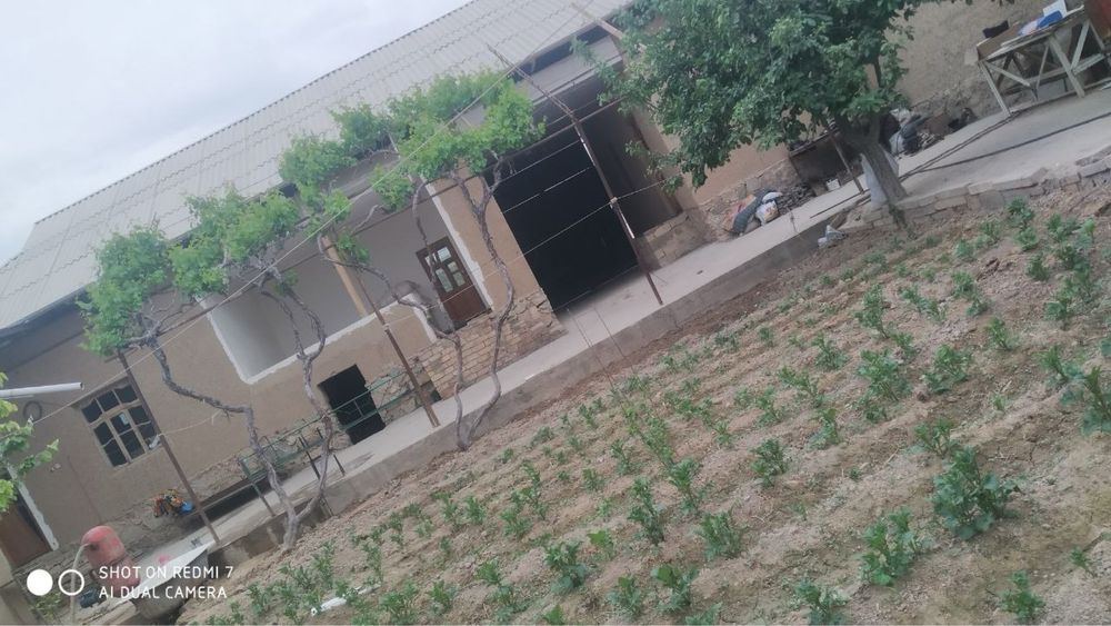 Ховли сотилади срочно!