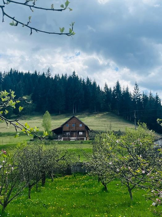 Cabana Ciobotani/ Toplita!!!